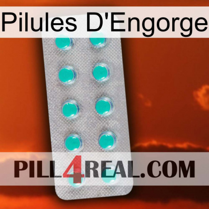 Engorge Pills 28